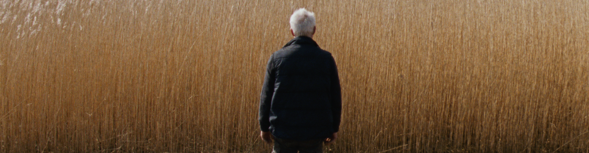 Dutch feature Reedland selected for Cannes Critics Week